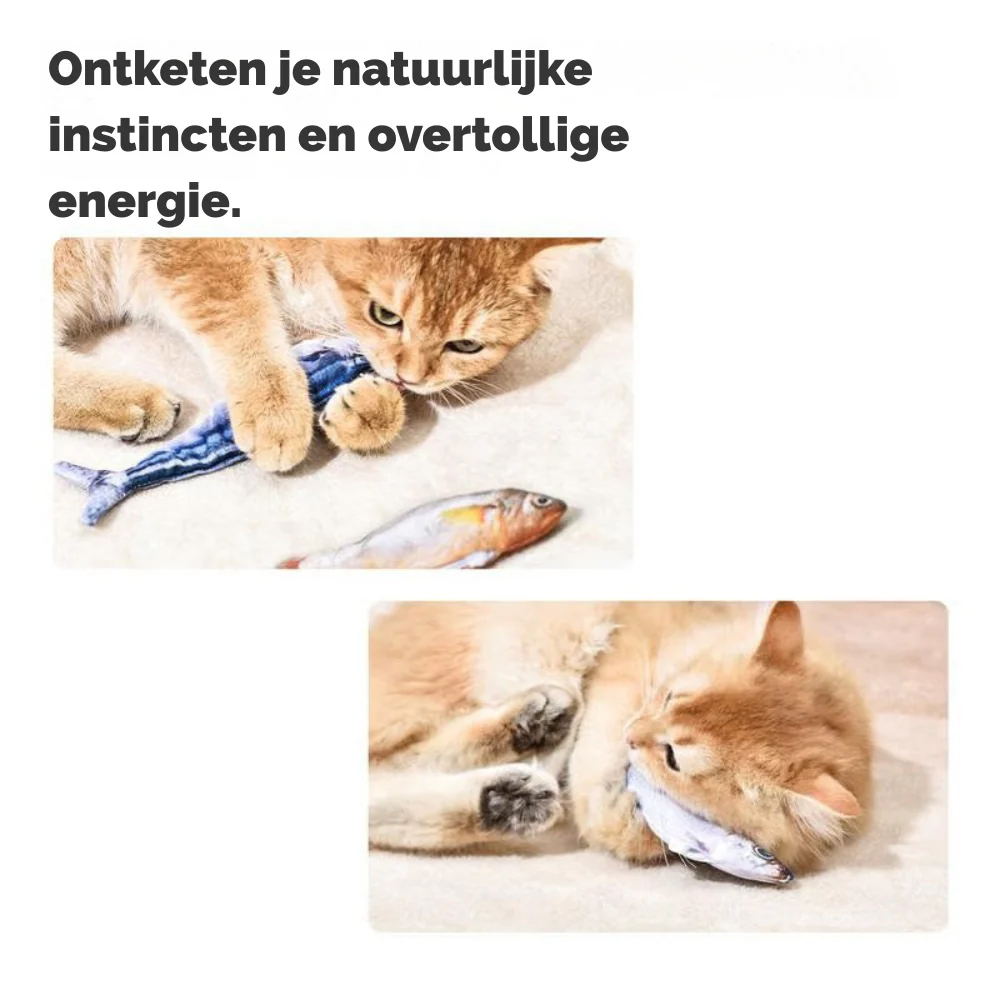 Productafbeelding 2