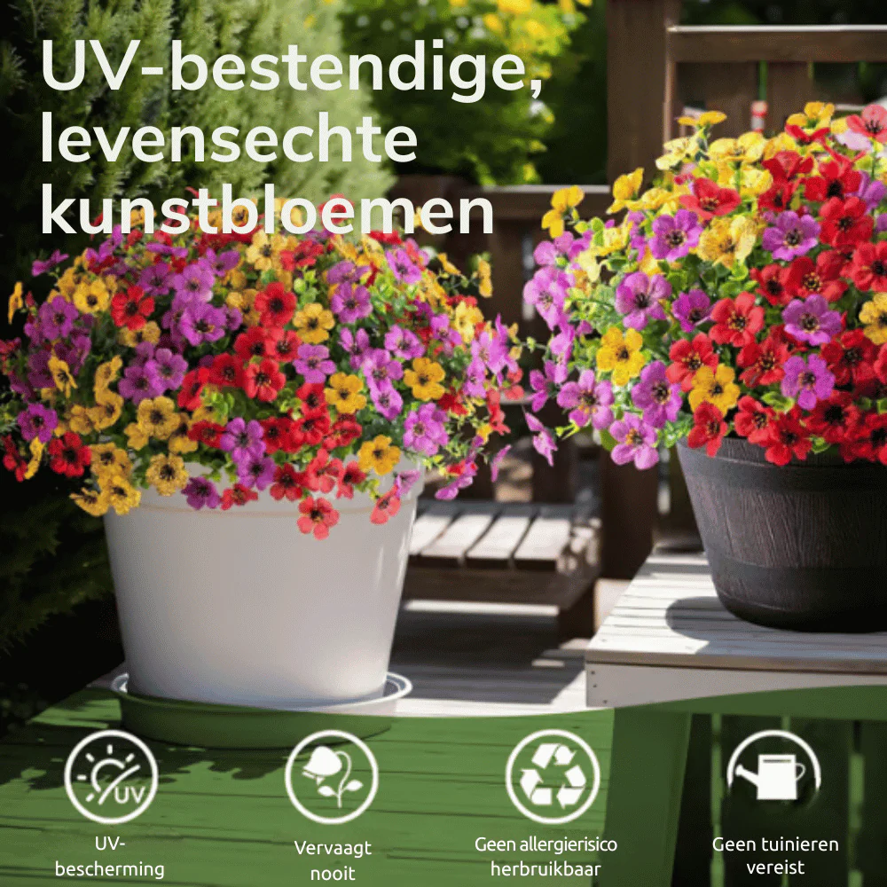 Productafbeelding 2