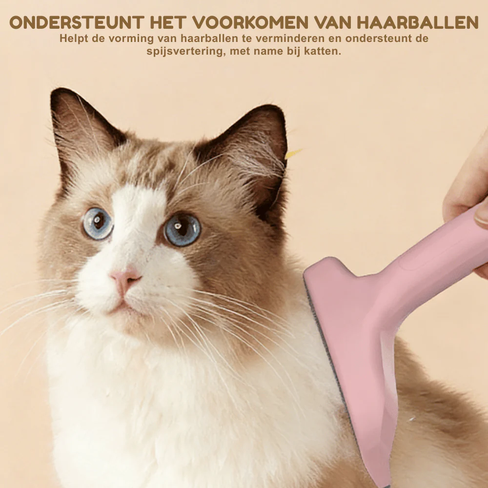 Productafbeelding 5