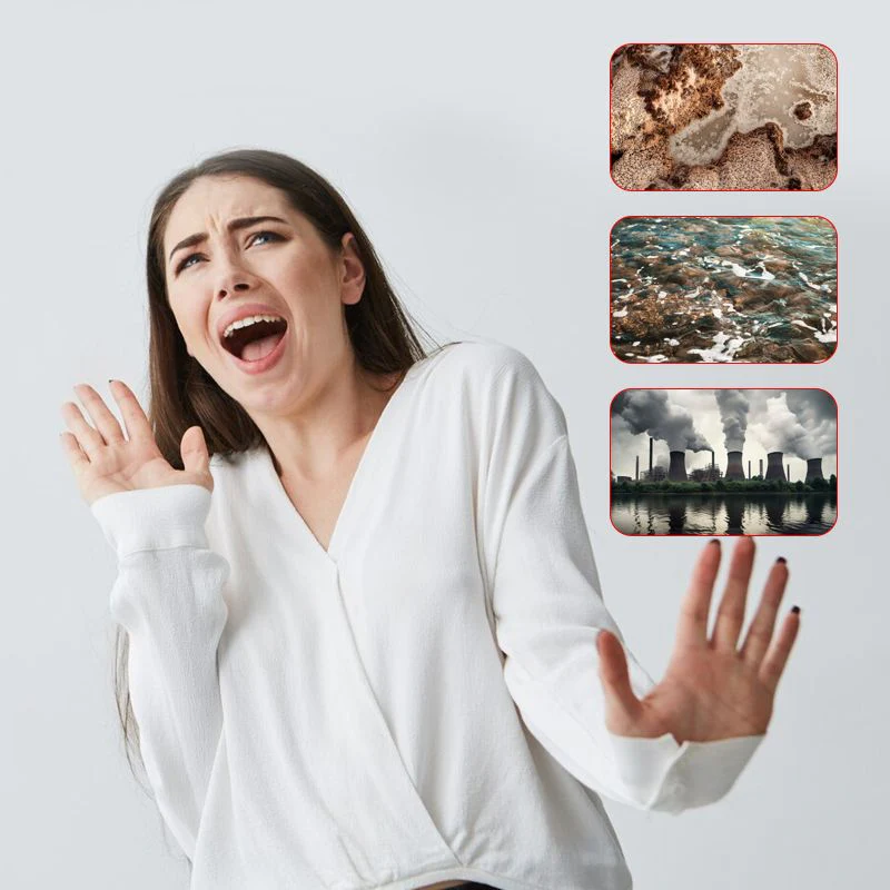 Productafbeelding 3