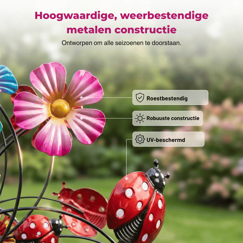 Productafbeelding 3