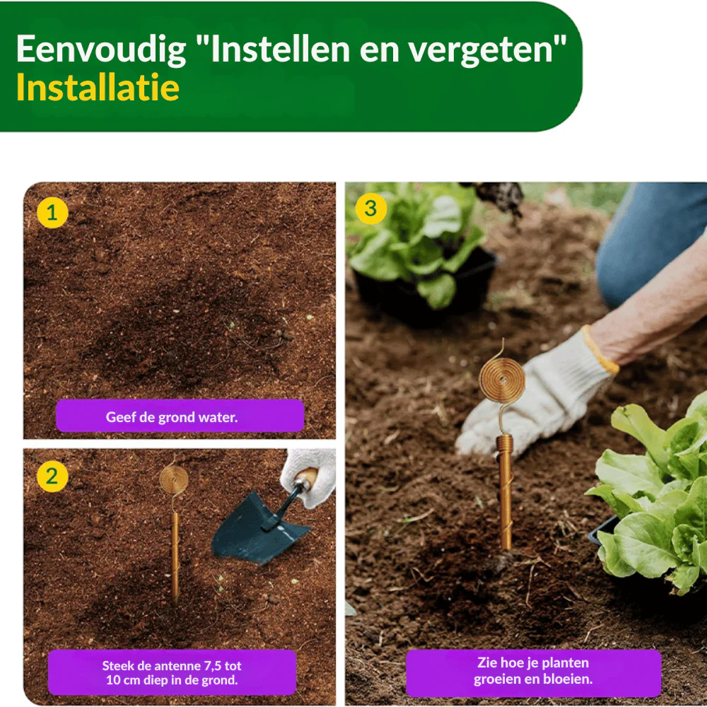 Productafbeelding 3