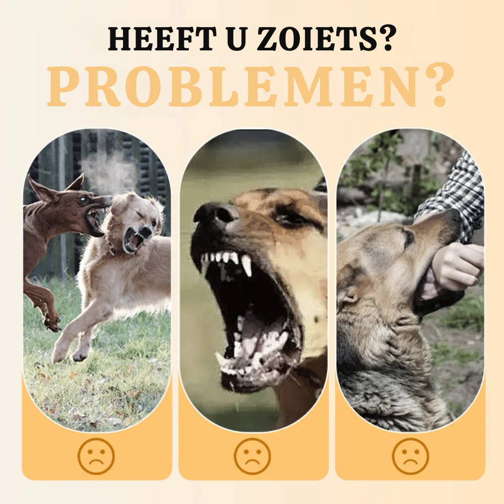 Productafbeelding 3