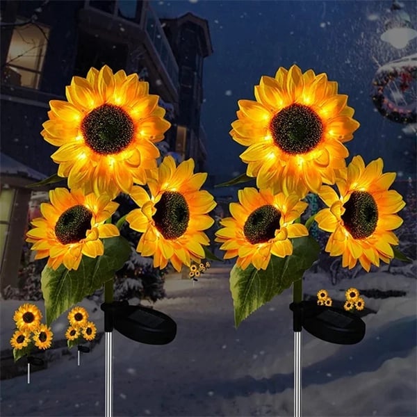 Productafbeelding 3